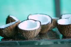 Fresh Coconut