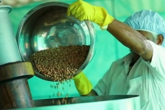 Groundnut Grinding