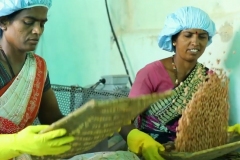 Groundnut Cleaning