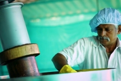 Oil Extraction in Process