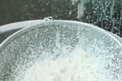 Coconut Milk Extraction