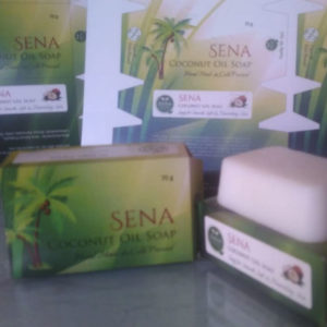 Coconut Oil Soap (Pack of 12)