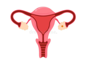 ⁠eliminating existing risk factors for infertility